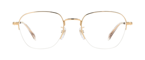 DB 1109/G - Gold - Frames