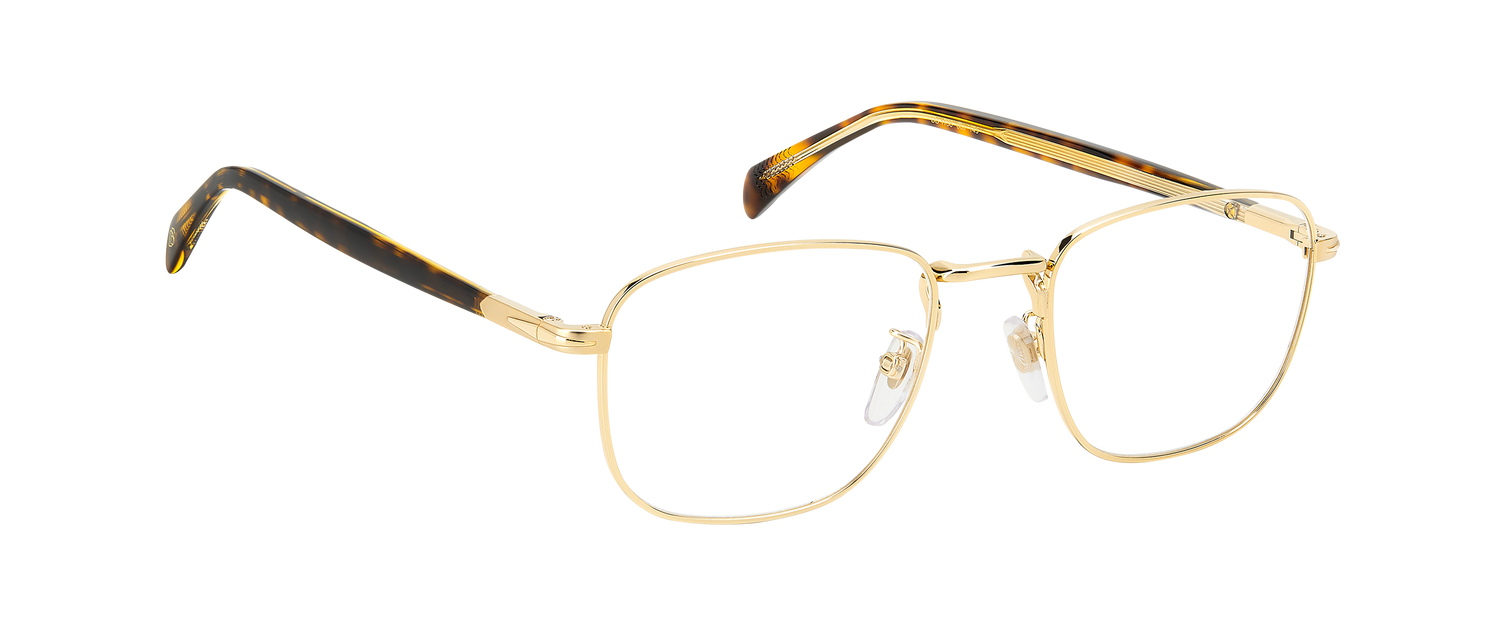 DB 1138 - Gold Havana - Frames