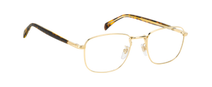 DB 1138 - Gold Havana - Frames