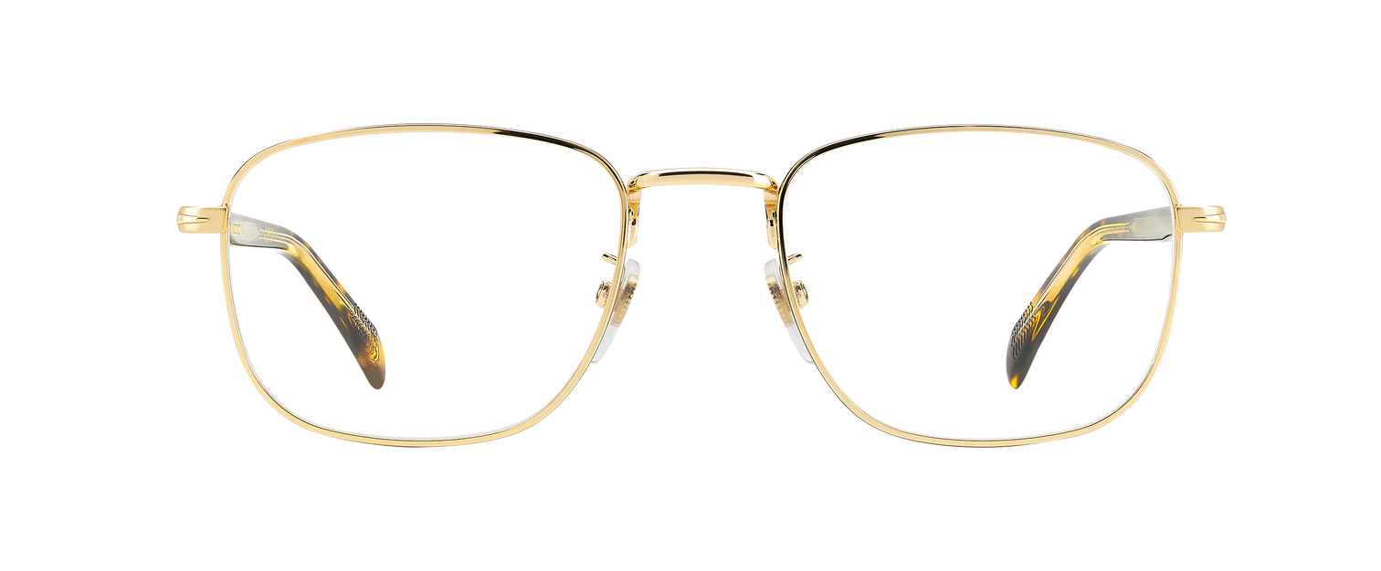 DB 1138 - Gold Havana - Frames