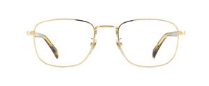 DB 1138 - Gold Havana - Frames