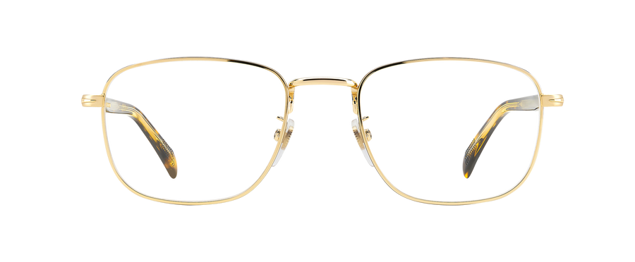 DB 1138 - Gold Havana - Frames