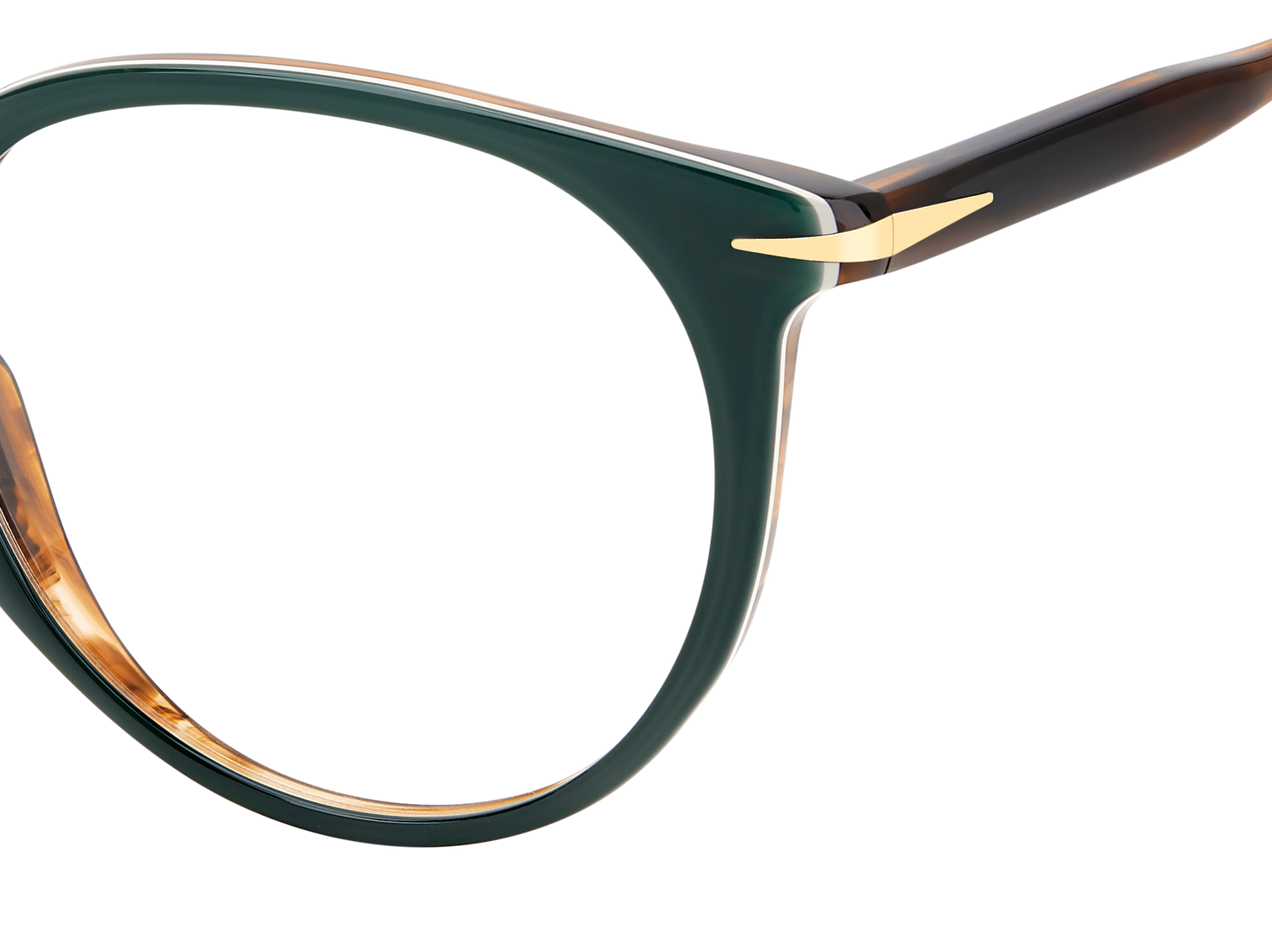 DB 1139 - Green Stripped Brown - Frames