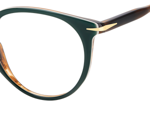 DB 1139 - Green Stripped Brown - Frames