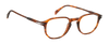DB 1140 - Brown Horn - Frames
