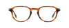 DB 1140 - Brown Horn - Frames
