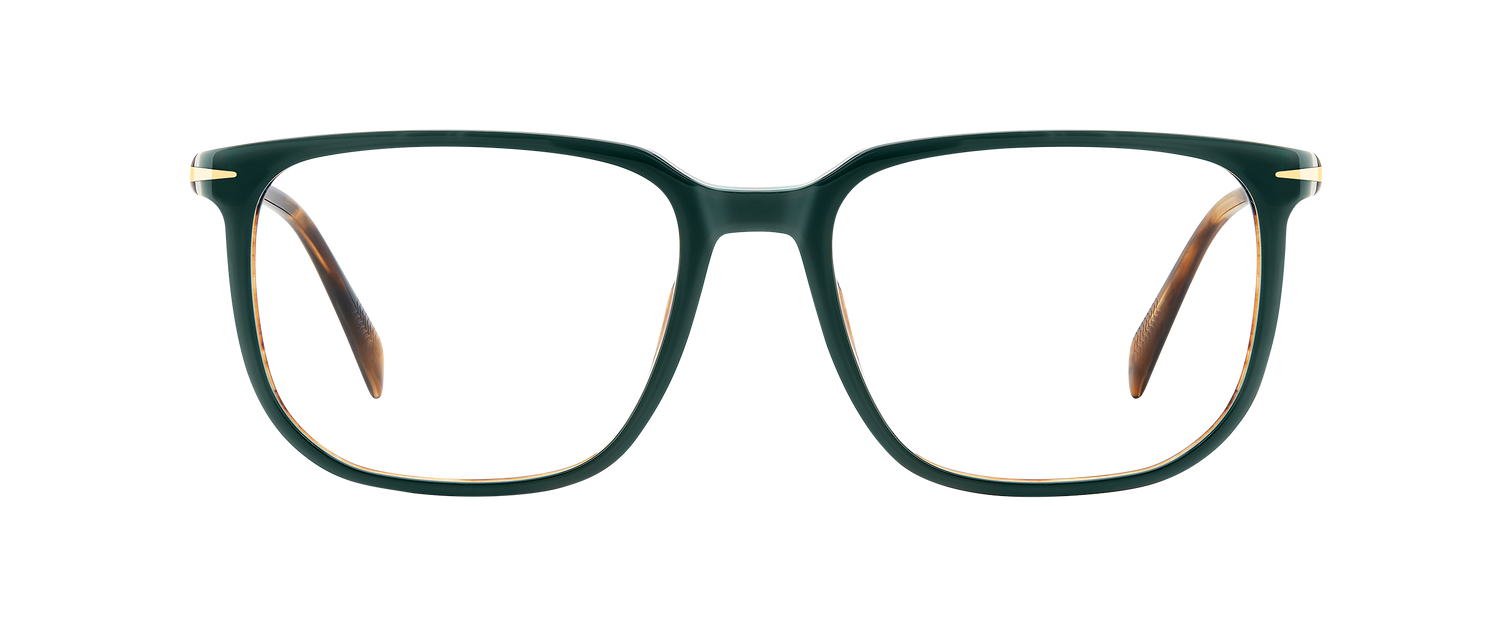 DB 1141 - Green Stripped Brown - Frames