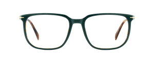 DB 1141 - Green Stripped Brown - Frames