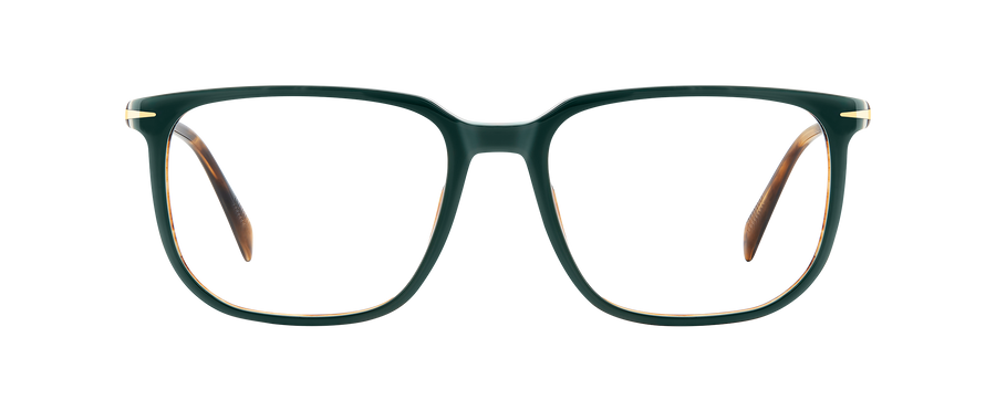 DB 1141 - Green Stripped Brown - Frames