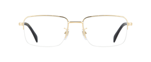 DB 1150 - Gold - Frames