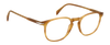 DB 1160 - Yellow Horn - Frames