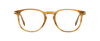 DB 1160 - Yellow Horn - Frames