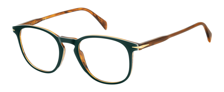 DB 1160 - Green Stripped Brown - Frames