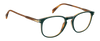 DB 1160 - Green Stripped Brown - Frames