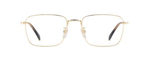 DB 1165 - Gold - Frames