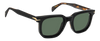 DB 7143/C - Black Havana - Green Polarized