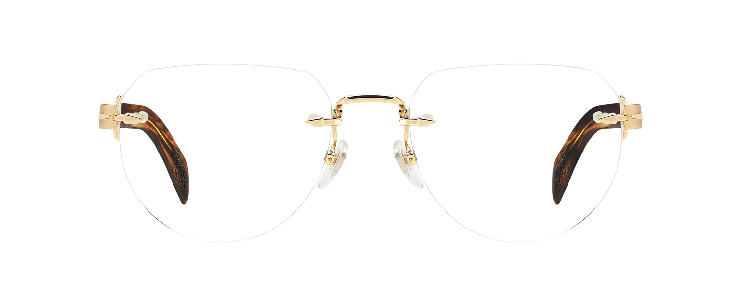 DB 7145 - Gold Brown Horn - Blue Mirror