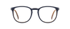 DB 1212 - Blue Brown - Frames