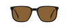 DB 1210/C - Nero striato Beige - Bronzo polarizzato