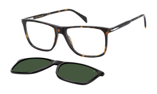 DB 1234/C - Havana - Green Polarized