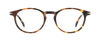 DB 1232 - Brown Havana - Frames