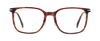 DB 1233/G - Brown Horn - Frames