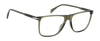 DB 1249 - Olive - Frames