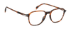 DB 1250 - Brown Horn - Frames