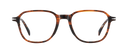 DB 1250 - Brown Horn - Frames