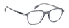 DB 1250 - Grey Crystal - Frames