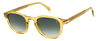 DB 1007/S - Yellow - Green Shaded