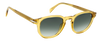 DB 1007/S - Yellow - Green Shaded