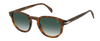 DB 1007/S - Havana Silver - Green Shaded