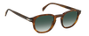 DB 1007/S - Havana Silver - Green Shaded