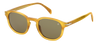 DB 1007/S - Yellow Horn - Green