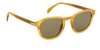 DB 1007/S - Yellow Horn - Green