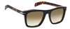 DB 7000/S - Black Havana Gold - Green Shaded