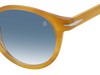 DB 1036/S - Havana Honey - Azul escuro sombreado