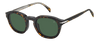 DB 1080/CS - Havana - Green Polarized