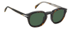 DB 1080/CS - Havana - Green Polarized