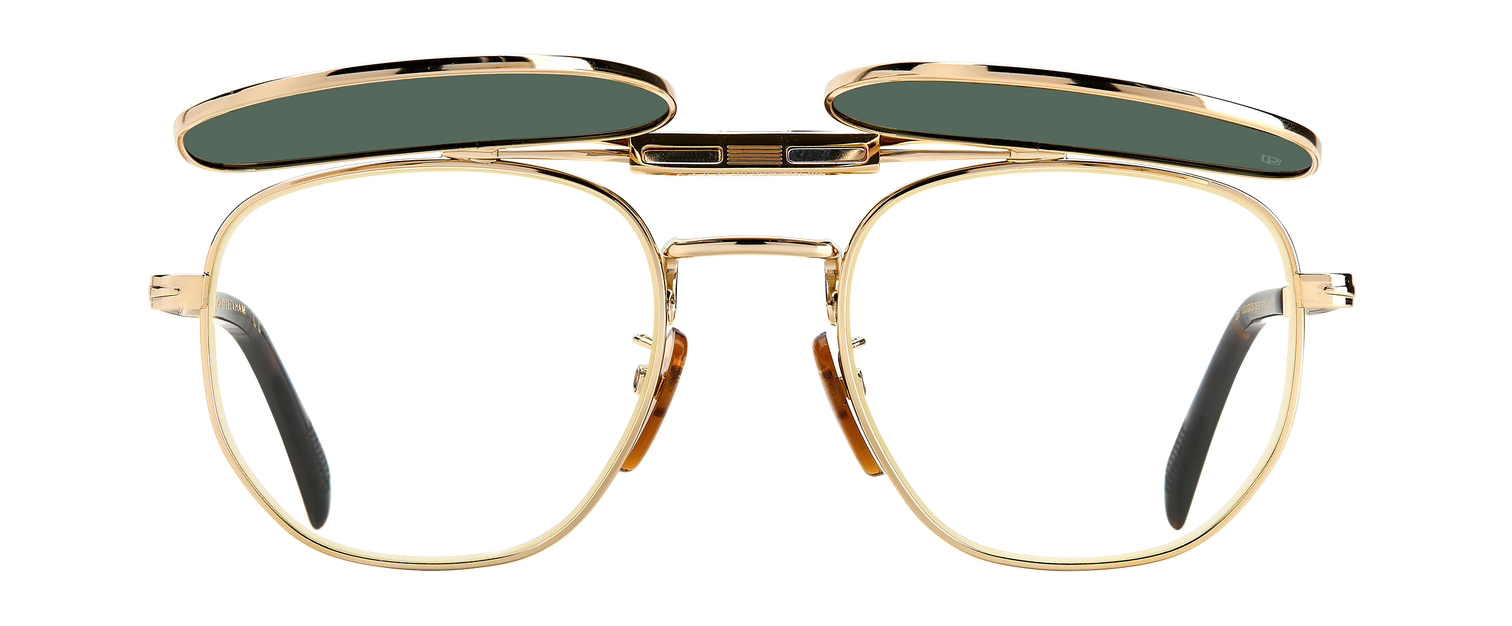 DB 1082/G/CS - Gold Havana - Green Polarized