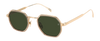 DB 1097/S - Fango oro - Verde