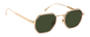 DB 1097/S - Fango oro - Verde