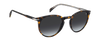 DB 1139/S - Havana - Grey Shaded Polarized