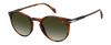 DB 1139/S - Brown Horn - Green Shaded
