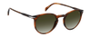 DB 1139/S - Brown Horn - Green Shaded
