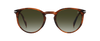 DB 1139/S - Brown Horn - Green Shaded
