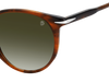 DB 1139/S - Brown Horn - Green Shaded