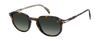 DB 1140/S - Havana - Green Shaded Polarized
