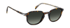 DB 1140/S - Havana - Green Shaded Polarized